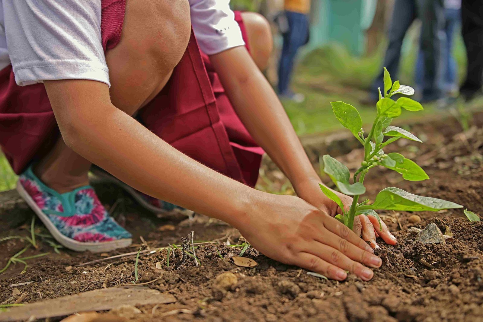 Save Earth